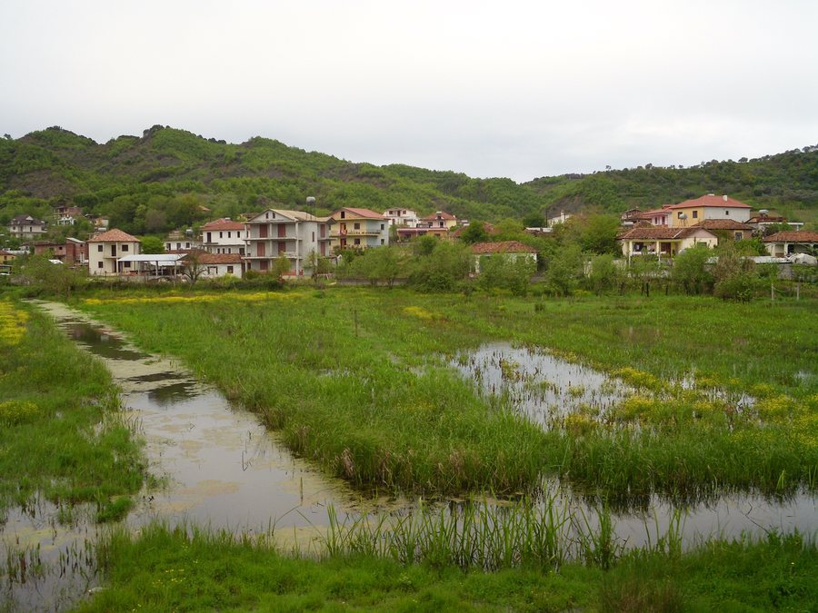 File:Fushe Kruje flooded fields.JPG