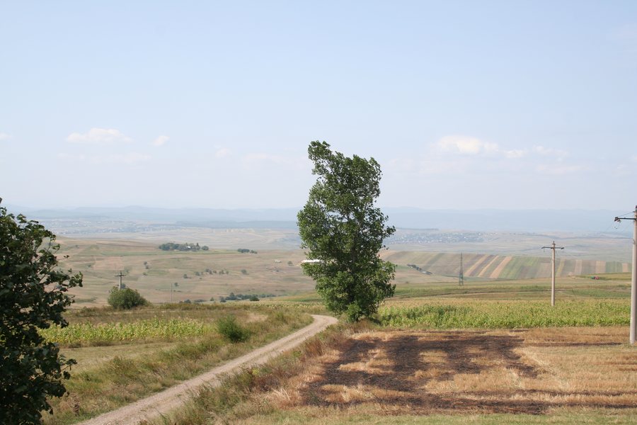 File:Dealul Teiusoara, comuna Scheia, Suceava - panoramio.jpg