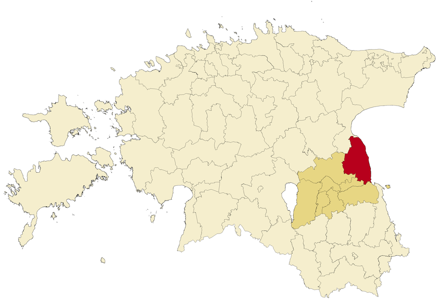 File:Peipsiääre vald 2017.png