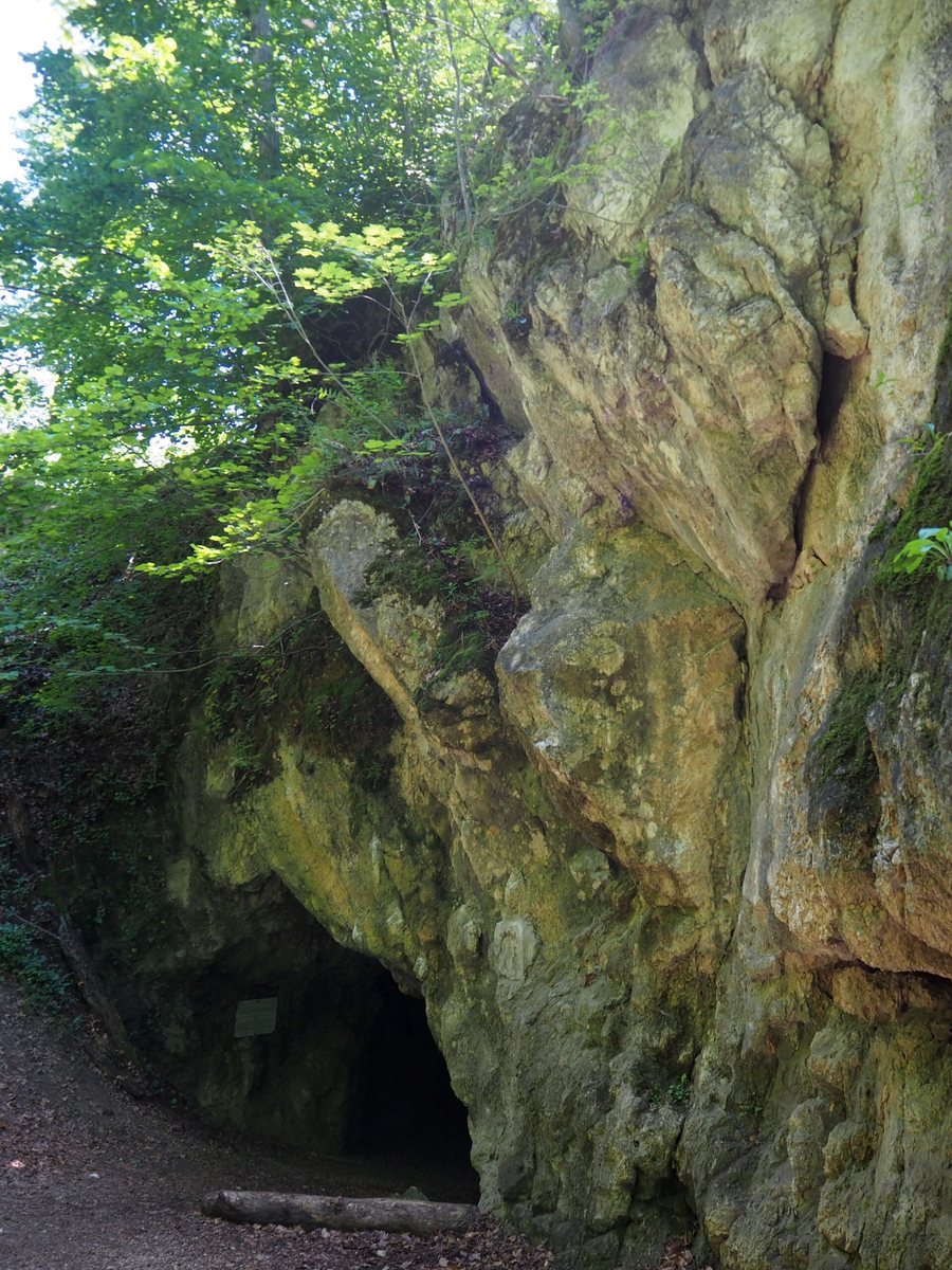 File:Odvas-kői-barlang2020-06-26.jpg