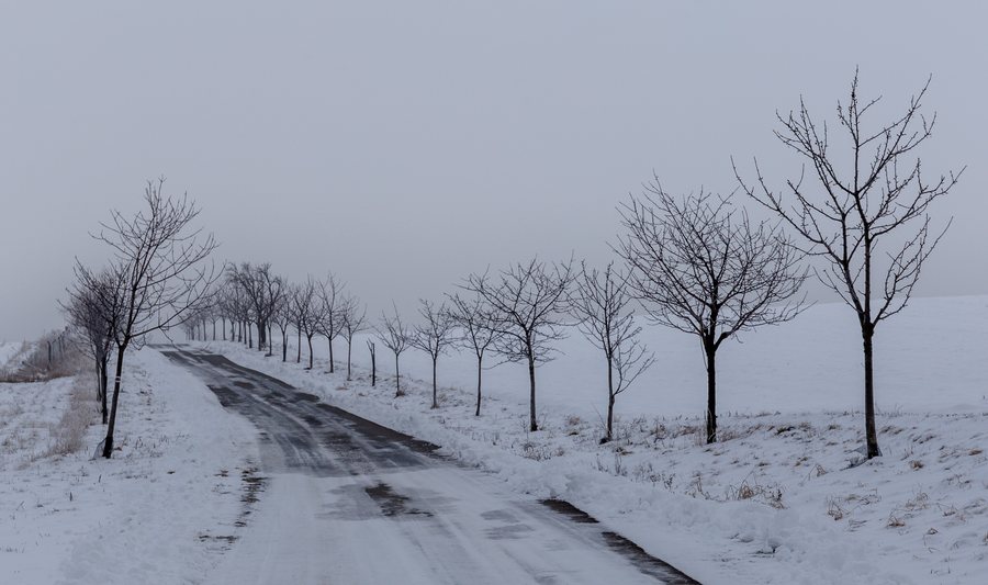 File:Road between Javůrek and Maršov, Czechia.jpg