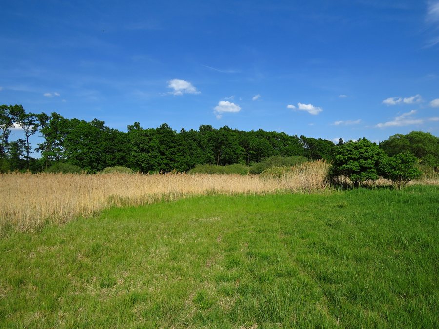 File:NPP Dlouhopolsko 10.jpg