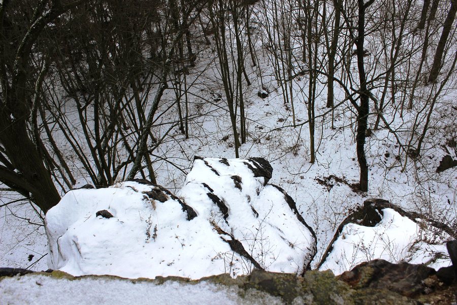 File:Vlčtejn (hrad) v okrese Plzeň-jih. (002).jpg