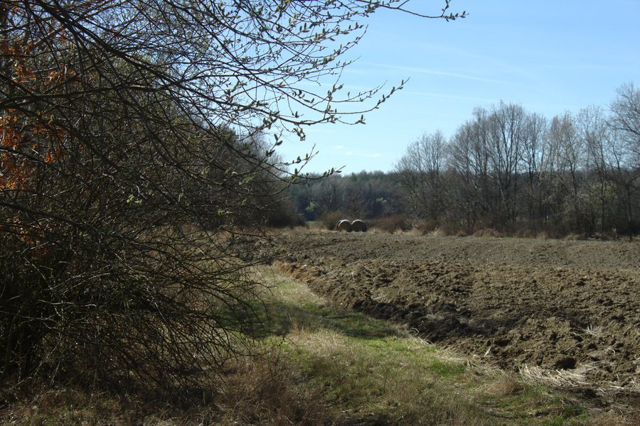 File:Braškov, PP Kyšice-Kobyla III.jpg