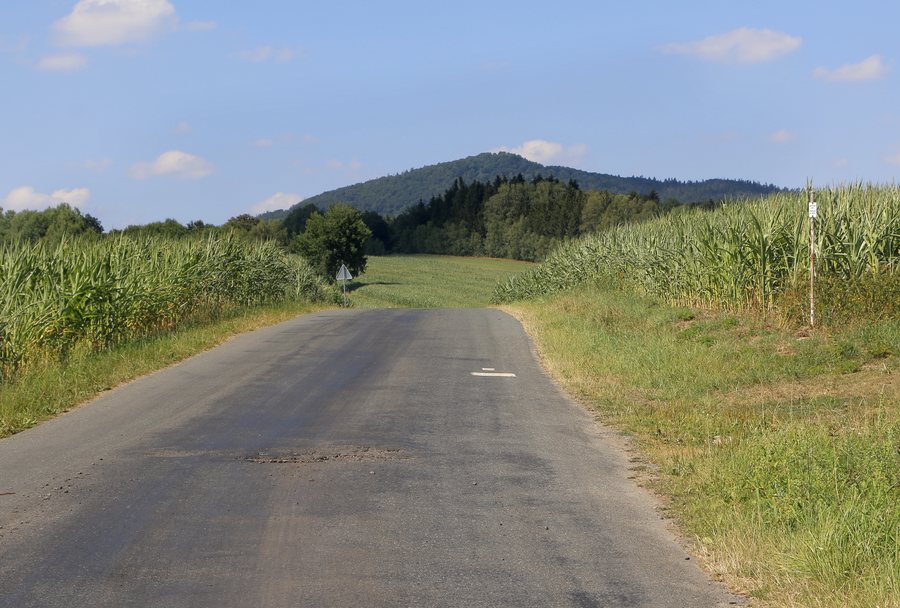 File:Nemanice, Novosedly, road to Poběžovice.jpg