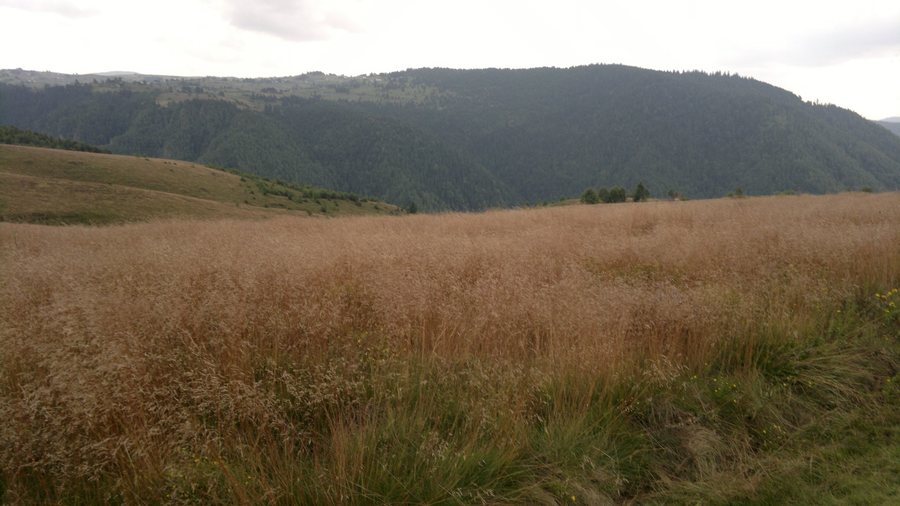 File:Râșca 407490, Romania - panoramio.jpg