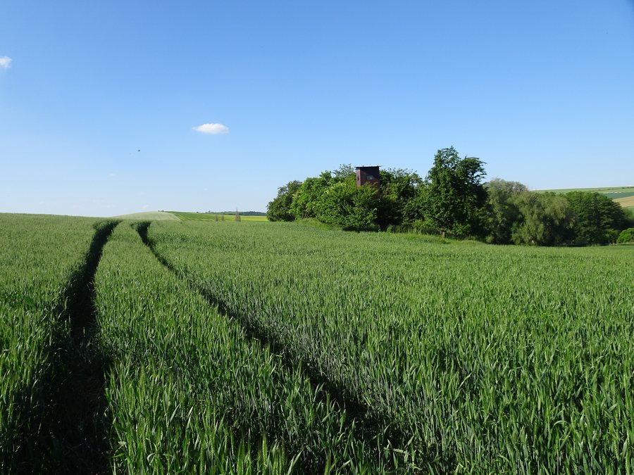 File:Spytihněv, Slačovy.jpg
