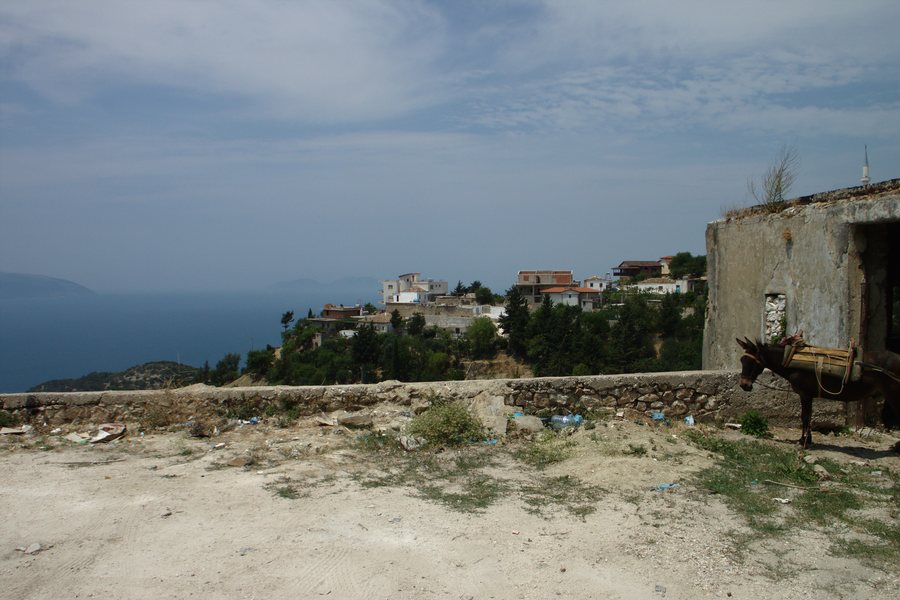 File:Kaninë, osel.jpg