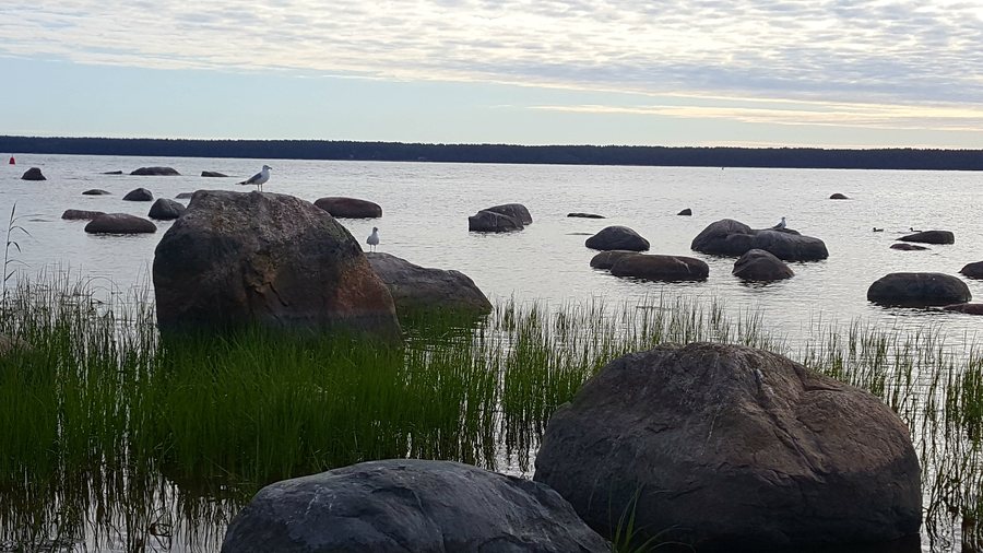 File:Beautiful Käsmu strand in Estonia.jpg