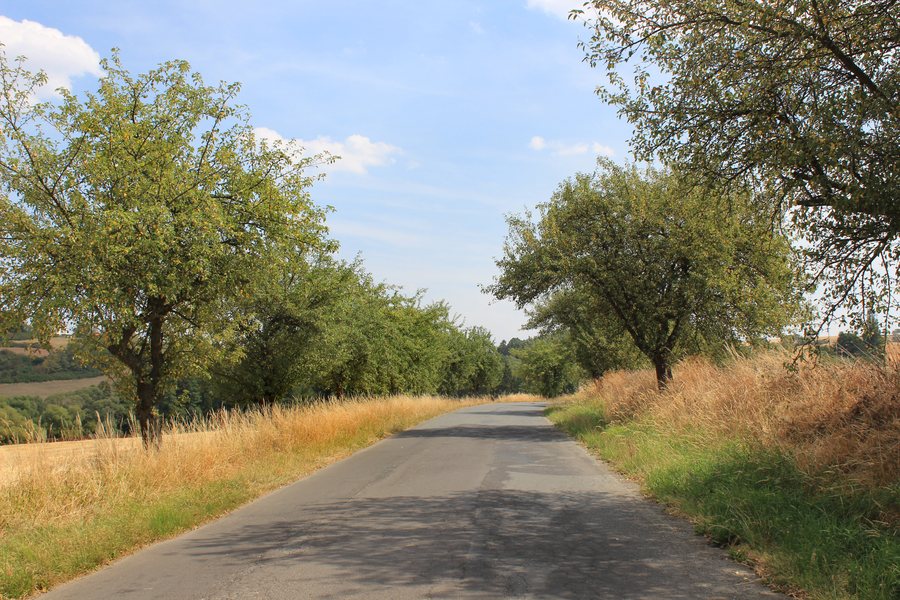 File:Road from Předenice to Netunice.jpg