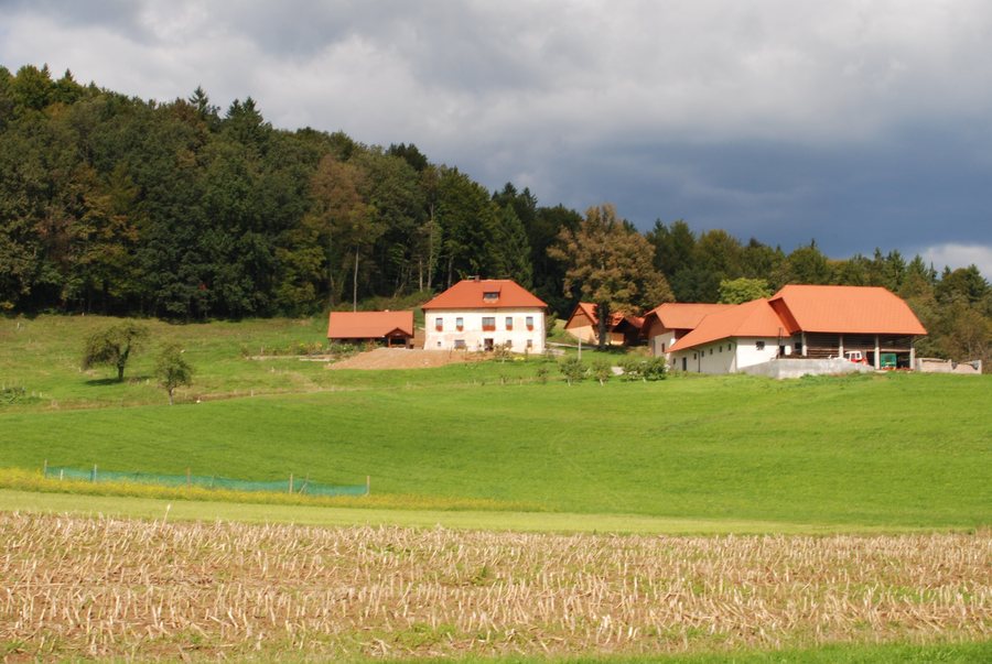 File:Hrastovica, Mokronog - Trebelno - graščina Zagorica.jpg