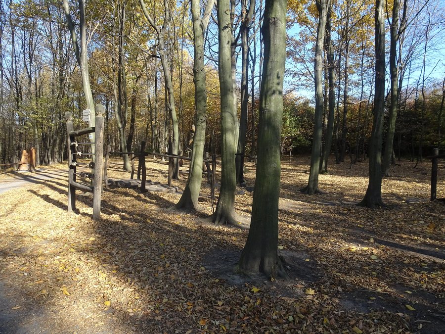 File:Čavisov, Lesní park Klimkovice (2).jpg