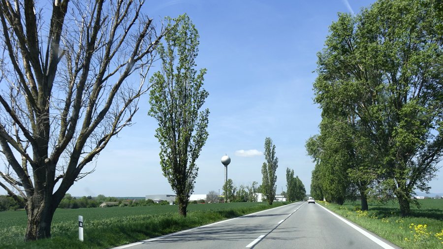 File:Vráble 23 Slovakia 1.jpg