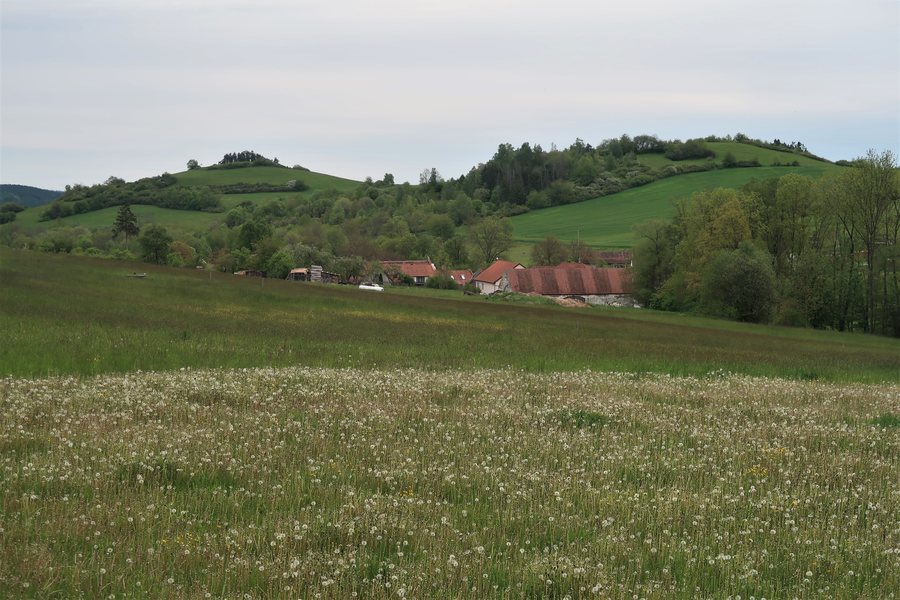 File:Starov (1).jpg