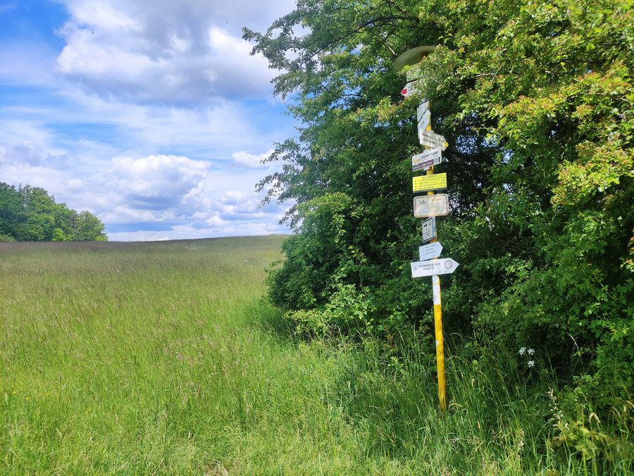 File:Tasov (HO), Pod Výzkumem, turistické značení (1).jpg