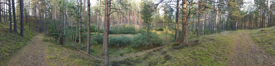 File:Panorama of boreal forest hills in Piejūra Nature Park in Saulkrasti Municipality.jpg