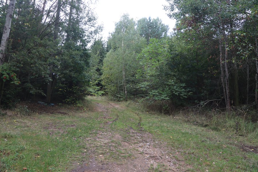 File:Overview of hill Bouzanov near Třesov, Třebíč District.jpg