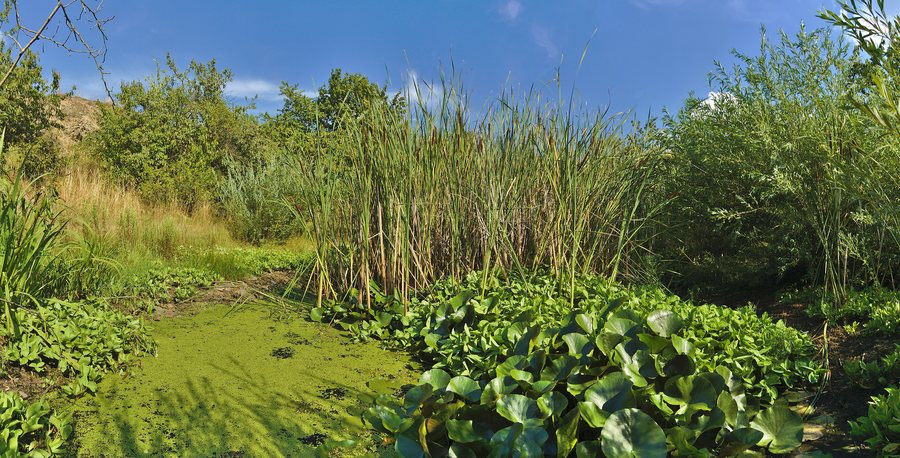 File:Přírodní památka Ohrozim-Horka, okres Prostějov (06).jpg