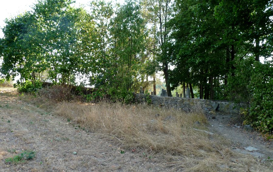 File:ŽH Puklice (01) celkový pohled.jpg