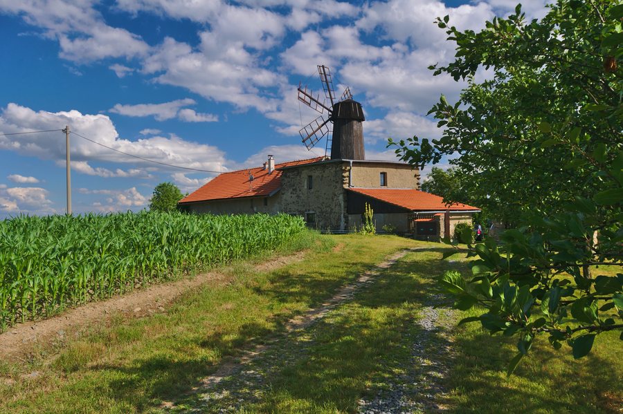 File:Větrný mlýn, Hačky, okres Prostějov (02).jpg