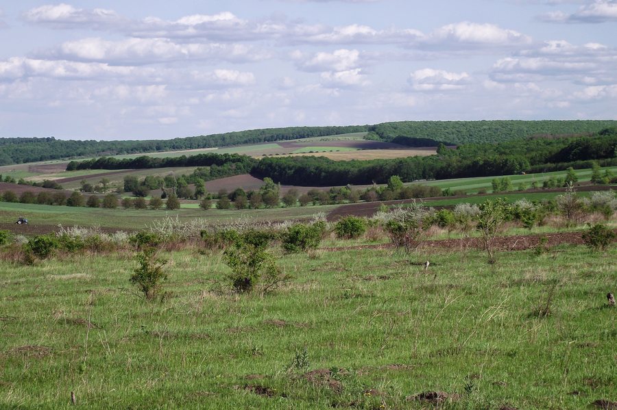 File:Rezina District, Moldova - panoramio (61).jpg