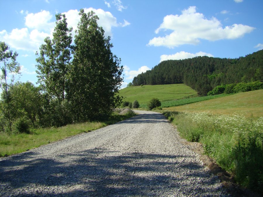 File:RO CJ Recea-Cristur (1).jpg