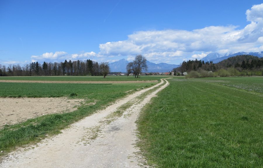 File:Skarucna Basin Slovenia.JPG