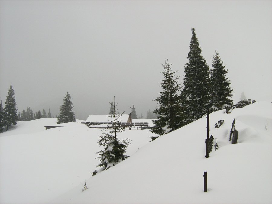 File:Comuna Crucea, Romania - panoramio.jpg