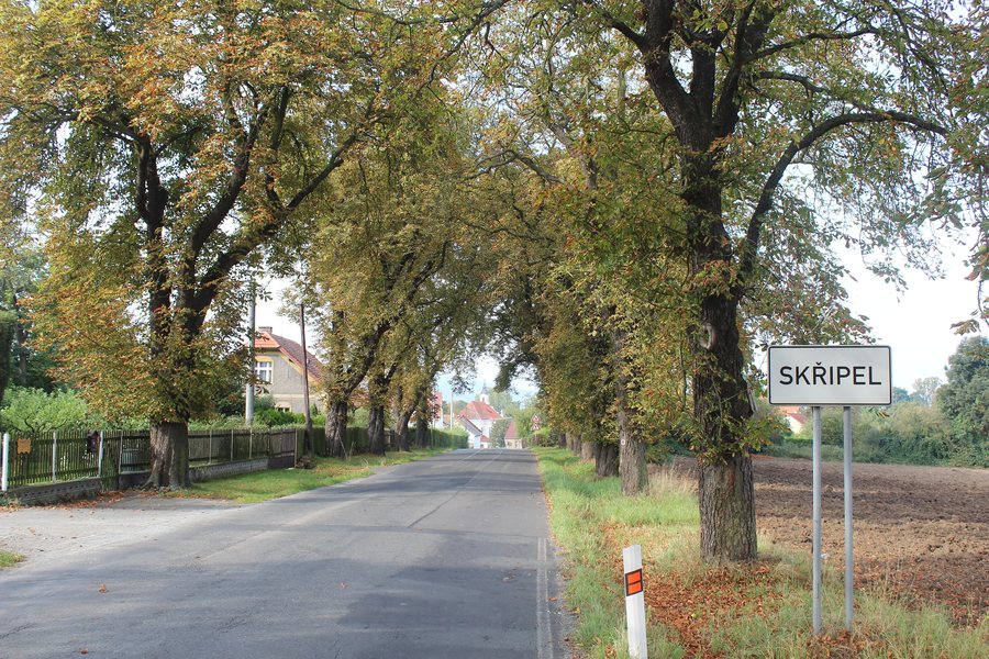 File:221 Skřipel ZJZ začátek obce.jpg