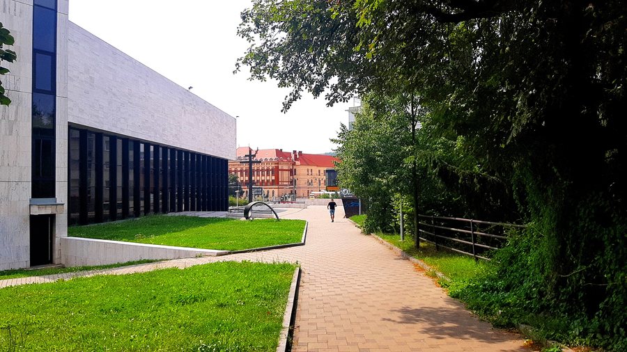 File:Leto 2023. Kmeťovo stromoradie, Prešov 23 Slovakia 2.jpg