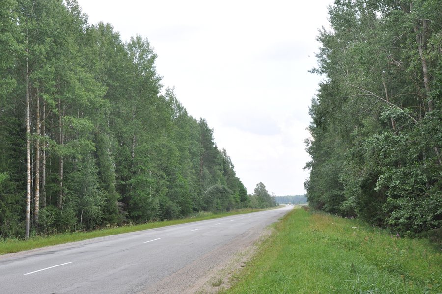 File:Ceļš Līvāni - Preiļi P63, Sutru pagasts, Līvānu novads, Latvia.jpg