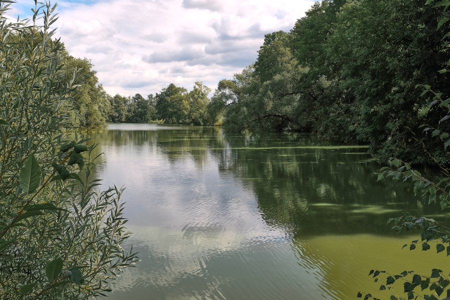 File:Ždánov Veský rybník září 2023.jpg