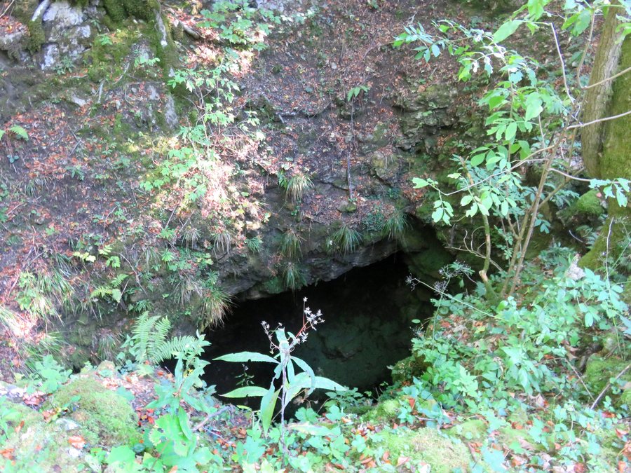 File:Liplje Cave - Planina Postojna Slovenia 1.jpg