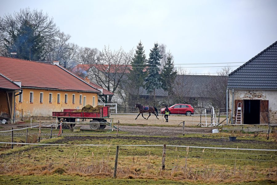 File:Horse farm in Strýčice 02.jpg