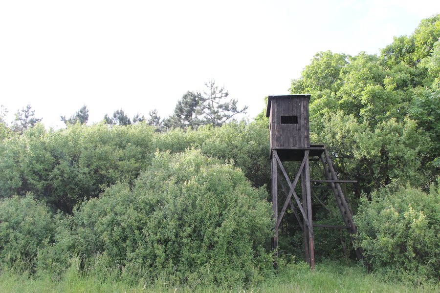 File:922 03 Vrbové, Slovakia - panoramio.jpg