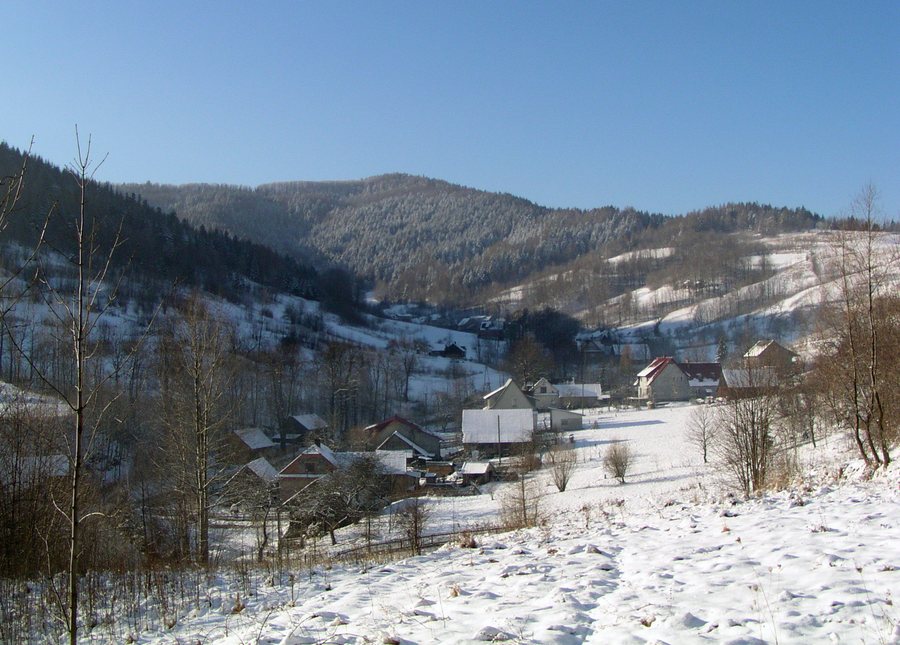 File:Gancarz.jpg