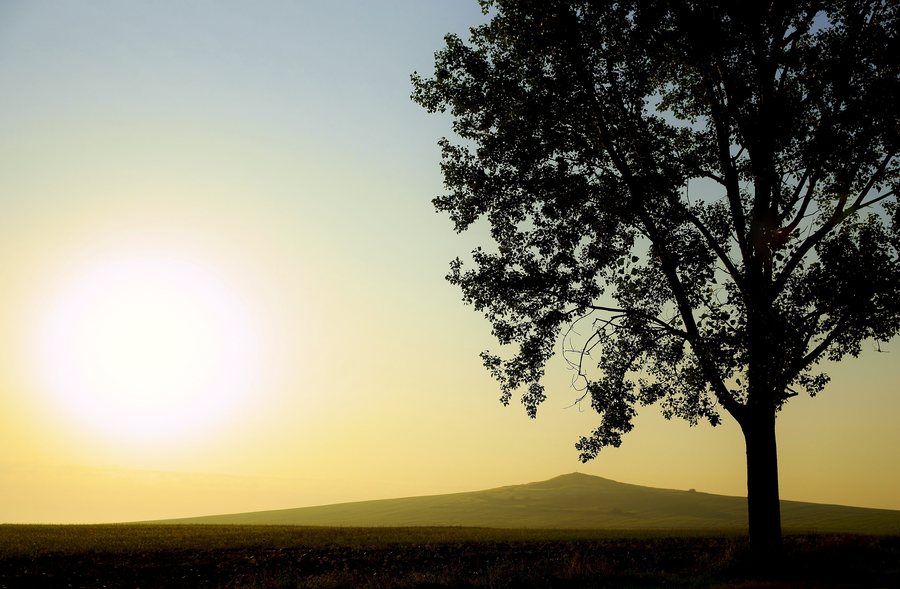 File:Golden Dobrogea Luncavita - Luncavita din Dobrogea de aur - panoramio.jpg