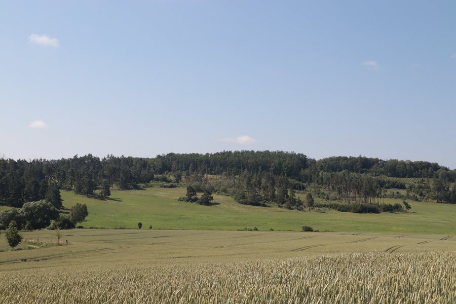 File:Overview of hill Velká Dubinka near Okřešice, Třebíč District.jpg