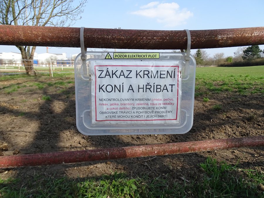 File:Xaverov, zákaz krmení koní a hříbat.jpg