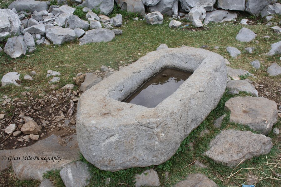 File:Lug uji për bagëtitë (Vrith, Shkrel, Shkodër).jpg