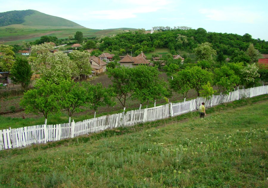 File:RO AB Șoimuș (1).jpg
