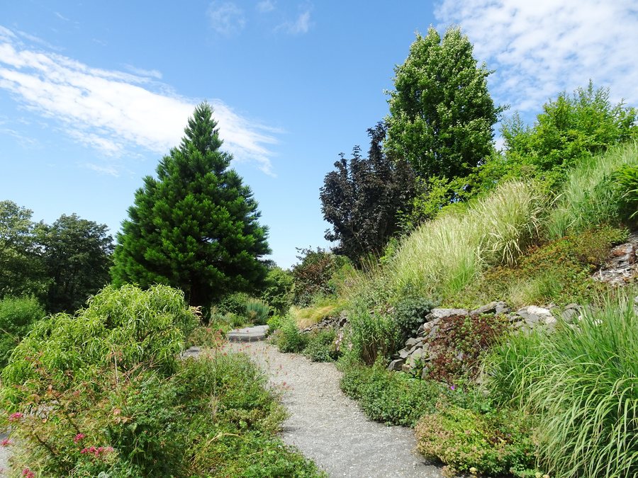 File:Paseka (OL), arboretum Makču Pikču (10).jpg
