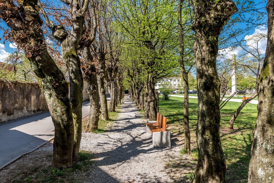 File:Radovljica Gorenjska cesta Park Buchen-Allee 10042017 7451.jpg