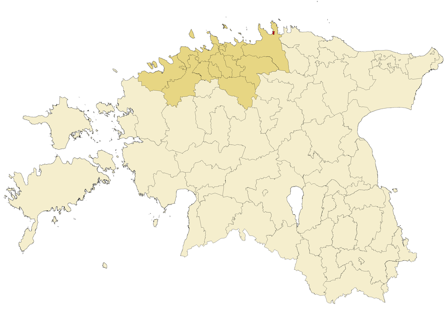 File:Loksa linn 2017.png