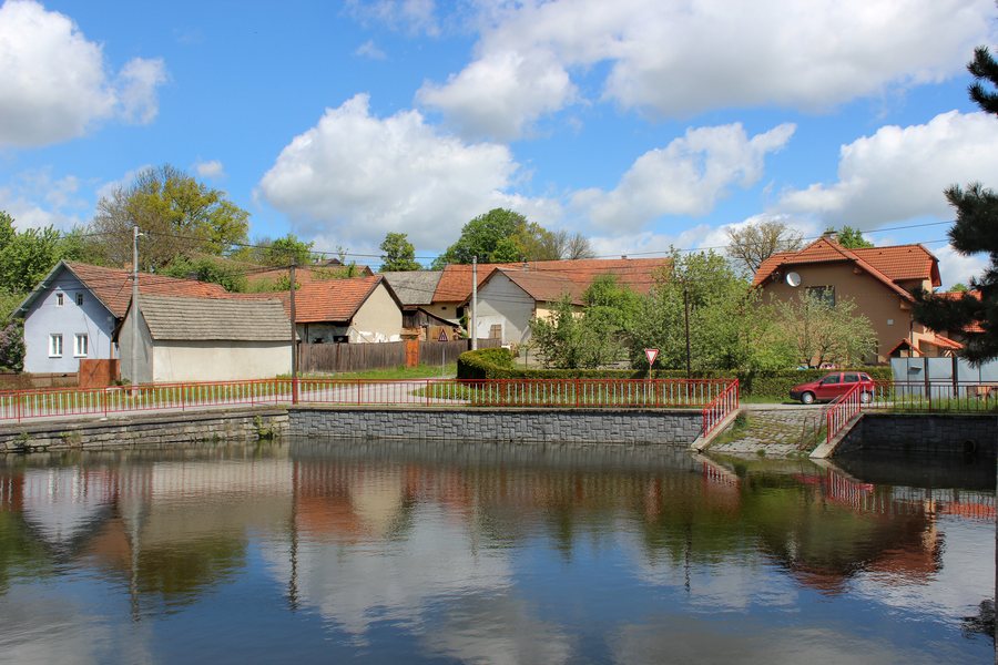 File:Polná, Hrbov, common pond.jpg