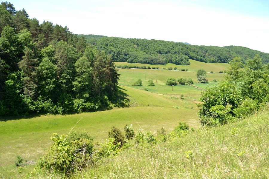 File:Jestice - Hradný vrch Jestice -1a.jpg