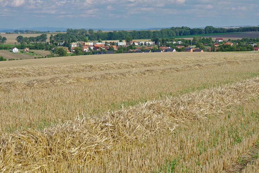 File:Pivín.jpg