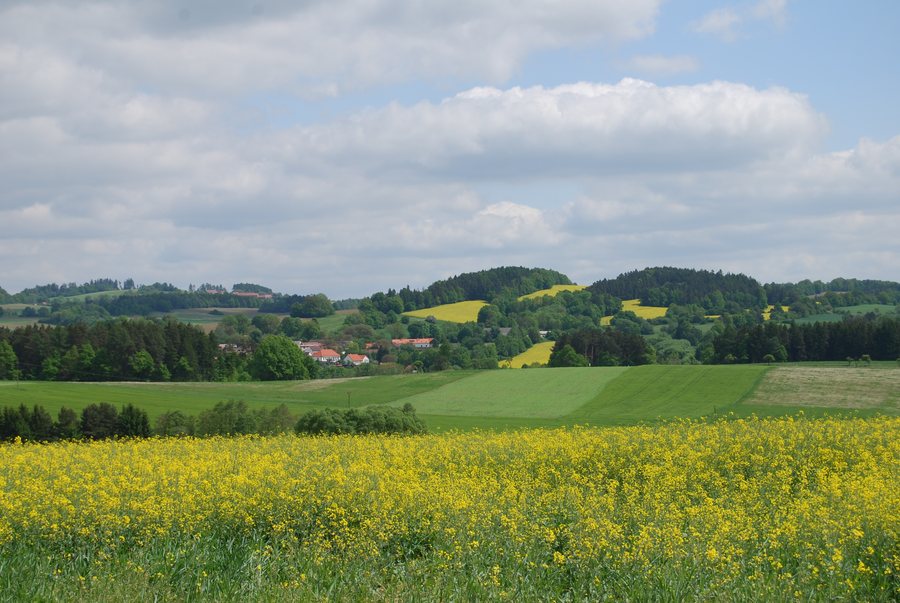 File:Přeborov (okres Písek) (14).jpg