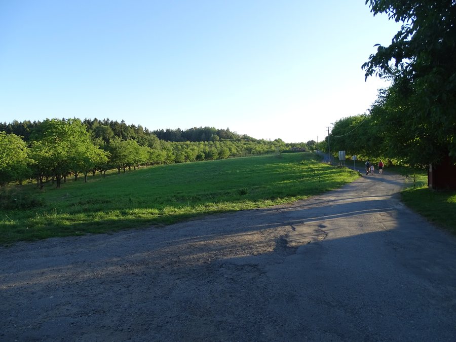 File:Mužský, od Krásné vyhlídky.jpg