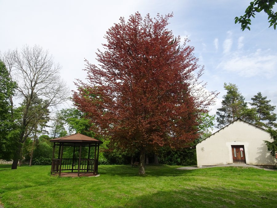 File:Doloplazy (PV), zámecký park (2).jpg